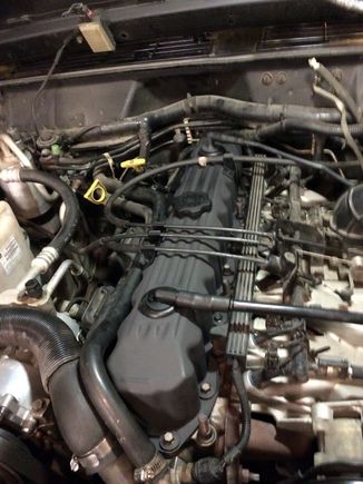 And looking good under the hood.  Now only a million other things I could clean up and paint...
