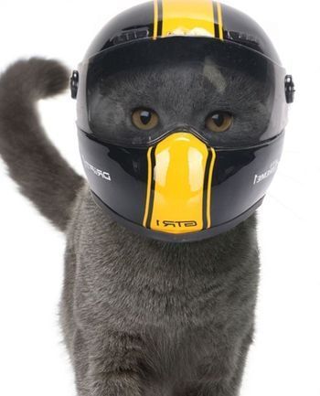 Some prefer full body armor, though....