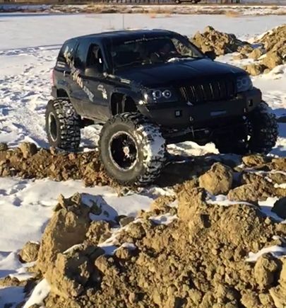 The stance turned out just right with this Beast..