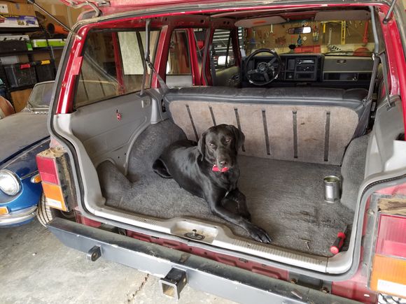 Rear carpet and trim in