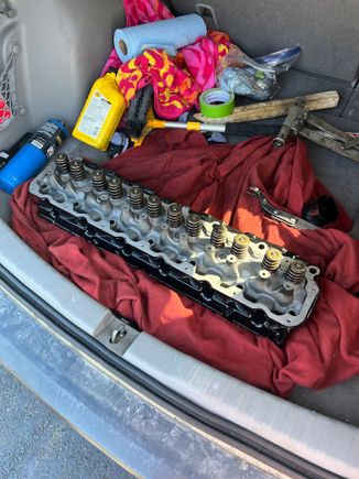 Ready to drop back on! 