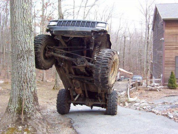 XJ tree climb ~ someone posted this on here and I think its the sickest XJ pic I've ever seen!  (My build goal!)