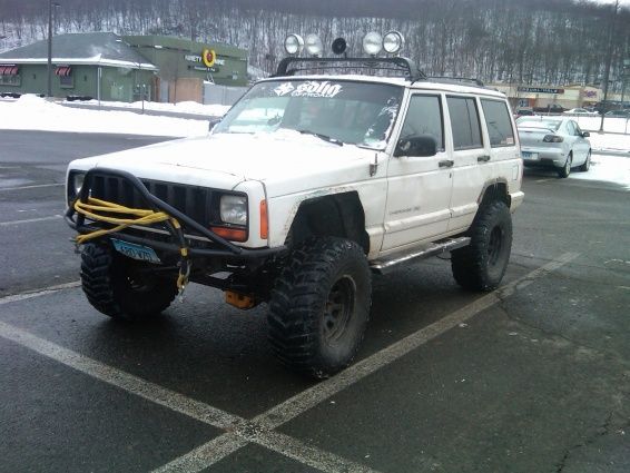 mallcrawler3