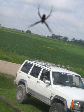 News Flash, Giant Spider attacks Cherokee, could this be how the whole poison spider thing started?, IMG 1122