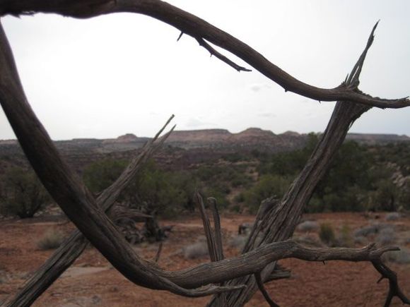 Scenery shot #2