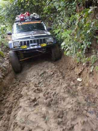 Black Ceri through the jungle