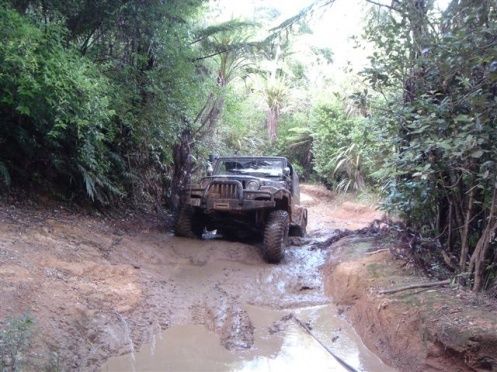 THOMSONS TRACK MAR 08 009[1] The TJ in her element, Oh there's another Mud Hole. Love that Native Kiwi Bush.