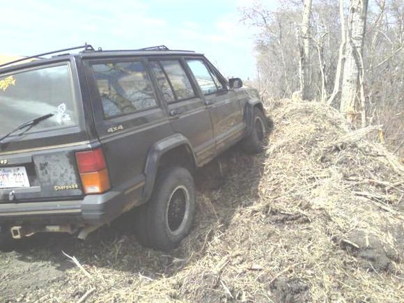 My Cherokee