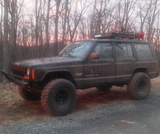 After the trimming...and a bit of muddin
