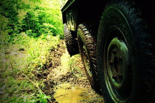 PINZ wheels
