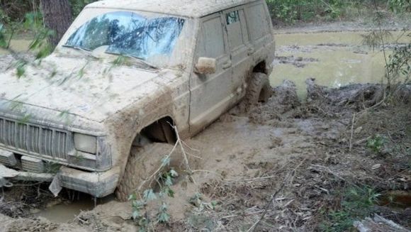 Opps this took a Track Hoe. Wasn't wheeling going to look for a new place for a deer stand