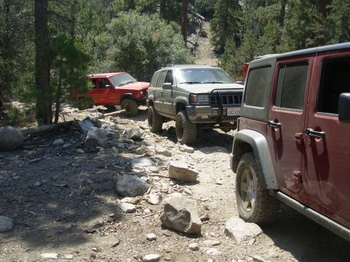 The group heading up the trail.