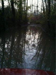 image 2305904468