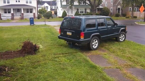 Pulling bushes out in front of my house