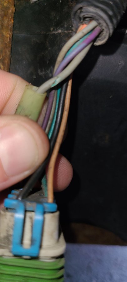 Cut an green on inside