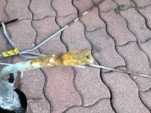 After removing the insulation I found the vapour line was perforated with rust 