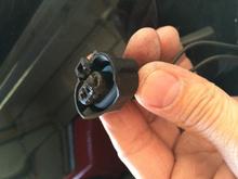 They have been known to melt. 