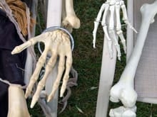 Skeleton Compare Hands