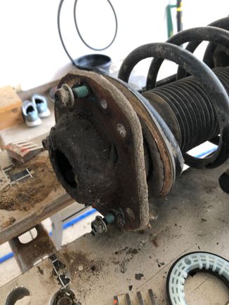 Old FE3 9 year old strut