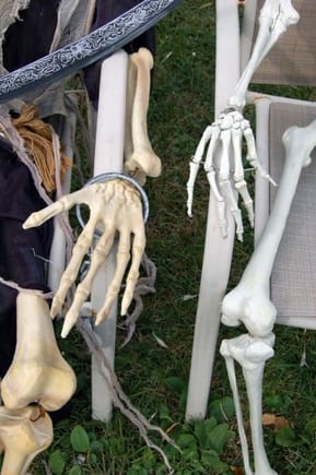 Skeleton Compare Hands