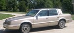 The current project