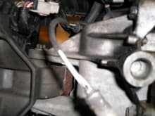 This is a picture of the lead and connector for the front downstream O2 Sensor.  The lead curves up from the sensor to the connector.  There is a little tab on the connector that must be lifted to separate the two halves of the connector.  Practice separating the connector that is visible at the front of the engine on top, the front upstream sensor.  Then youll be able to separate this one easily.   The rear sensor is similar but more difficult to get to.  You can get two hands onto the front sensor but youll be able to get only one hand on the rear one.  If you stick a tiny screwdriver under the tab of the rear one, it will make it easier to separate.

Next, unbolt the front and rear cat-to-Y-pipe connections.