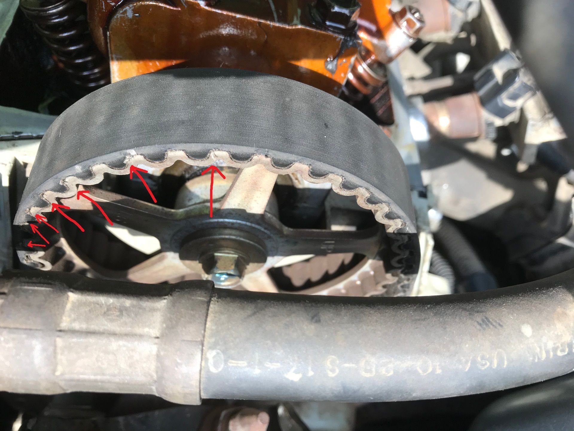 Timing Belt Loose & Fraying Honda Civic Forum