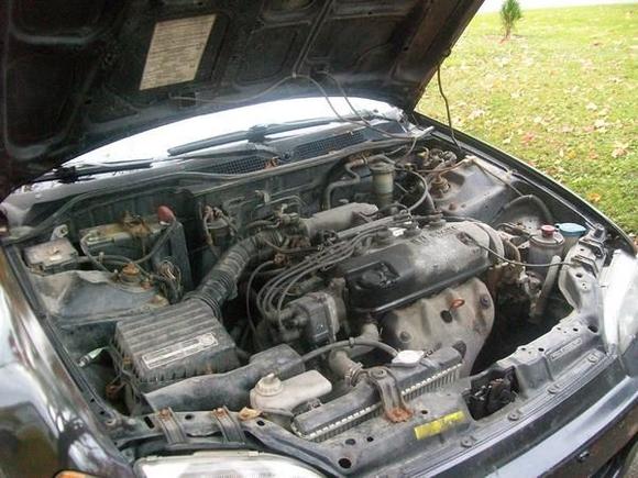 Stock Motor!