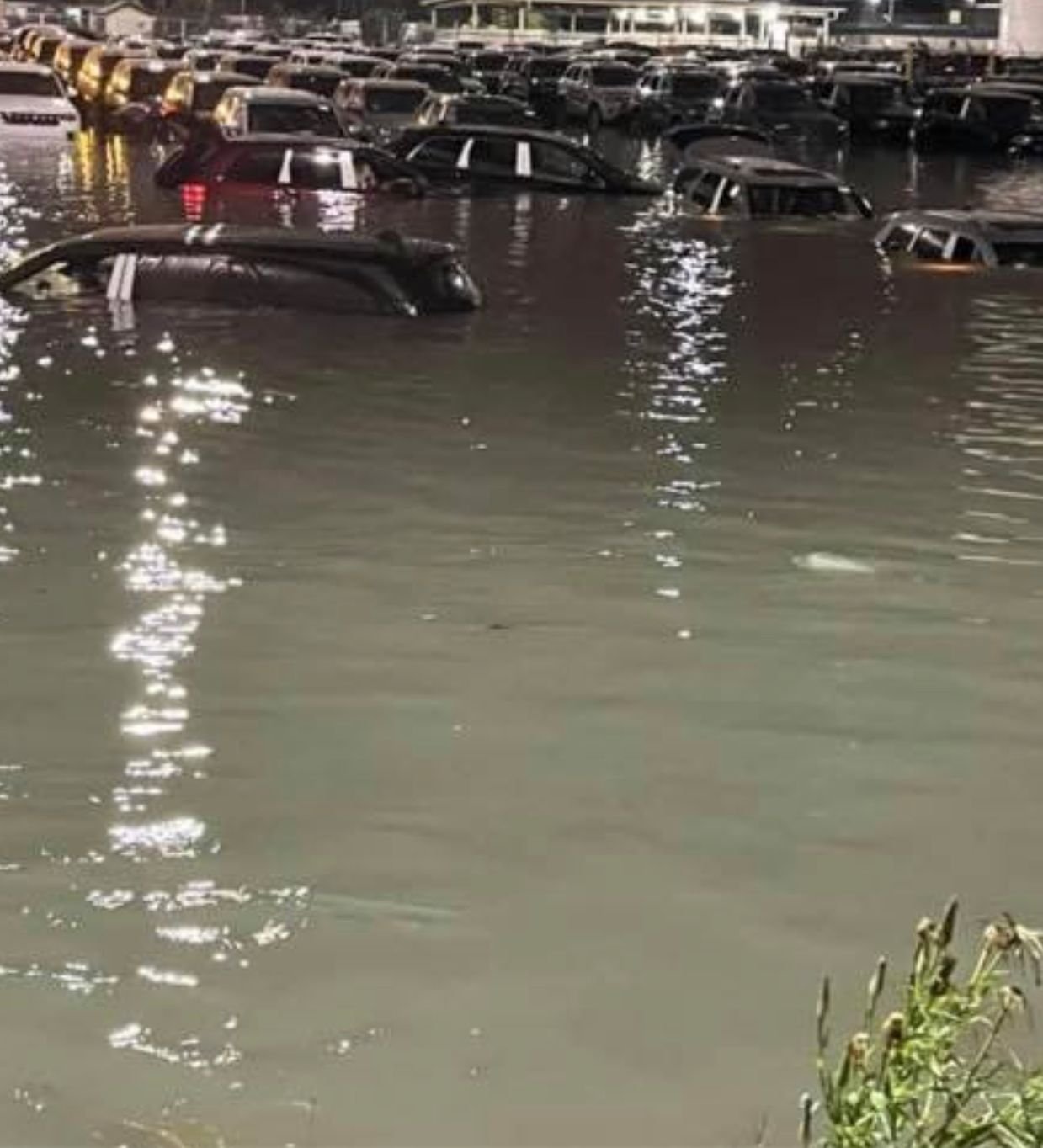 Jeep plant flood ClubLexus Lexus Forum Discussion