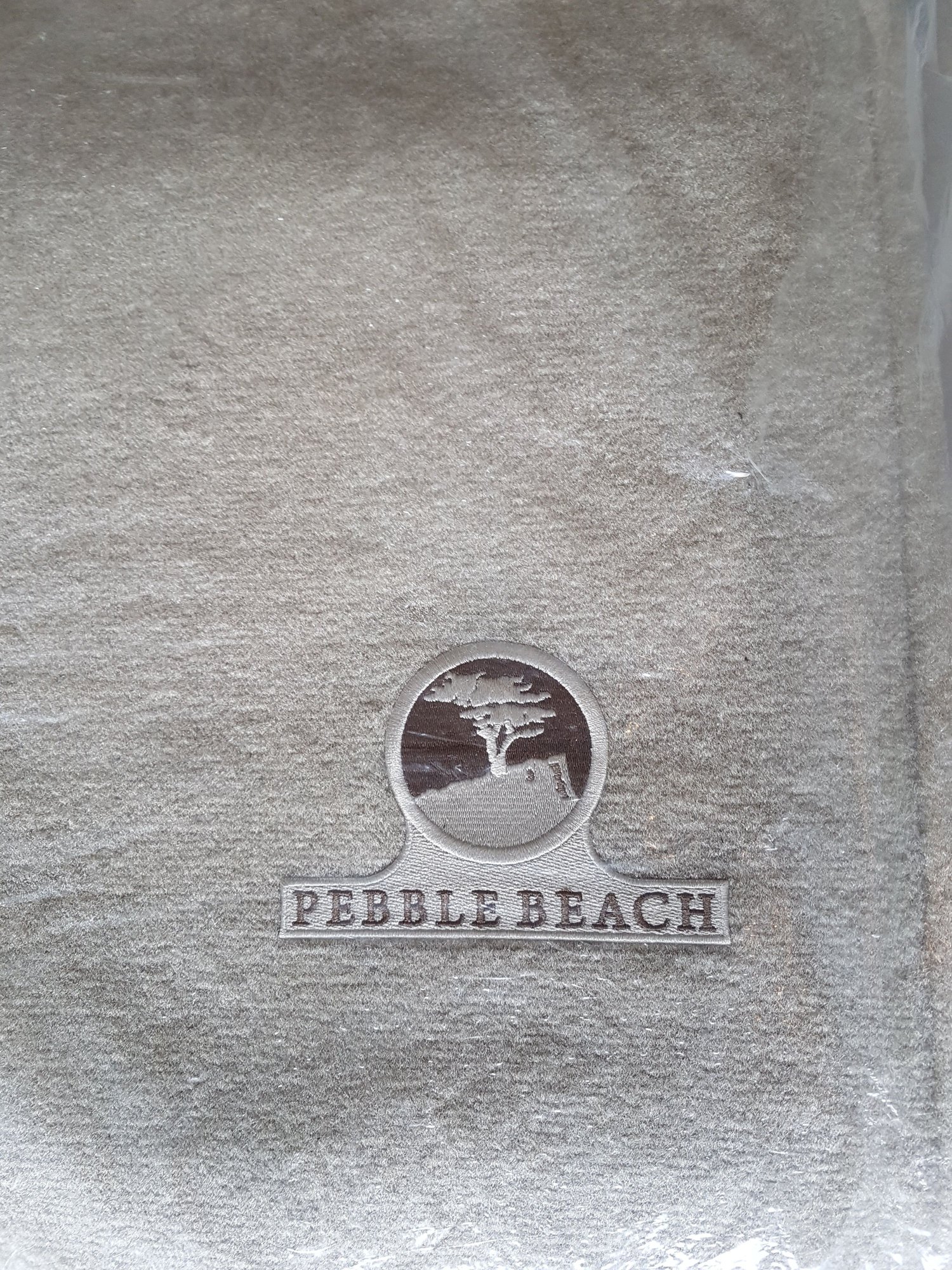 Brand New RX350 Pebble Beach Floor Mats - ClubLexus - Lexus Forum