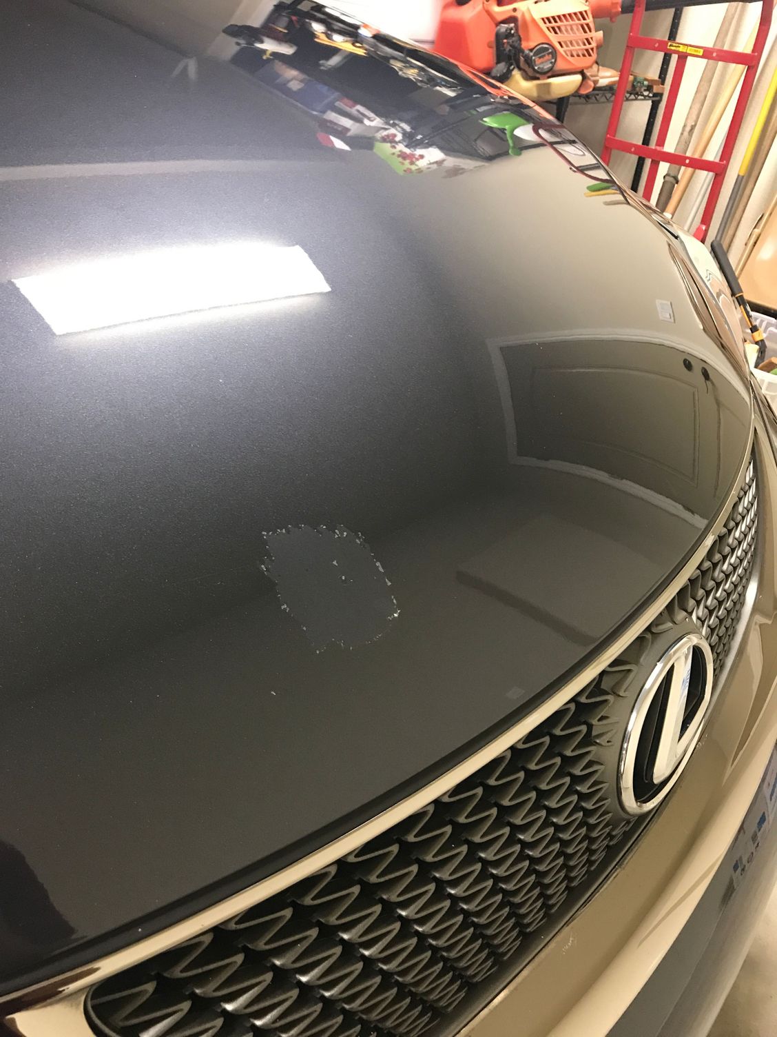Clear coat on hood peeling ClubLexus Lexus Forum Discussion
