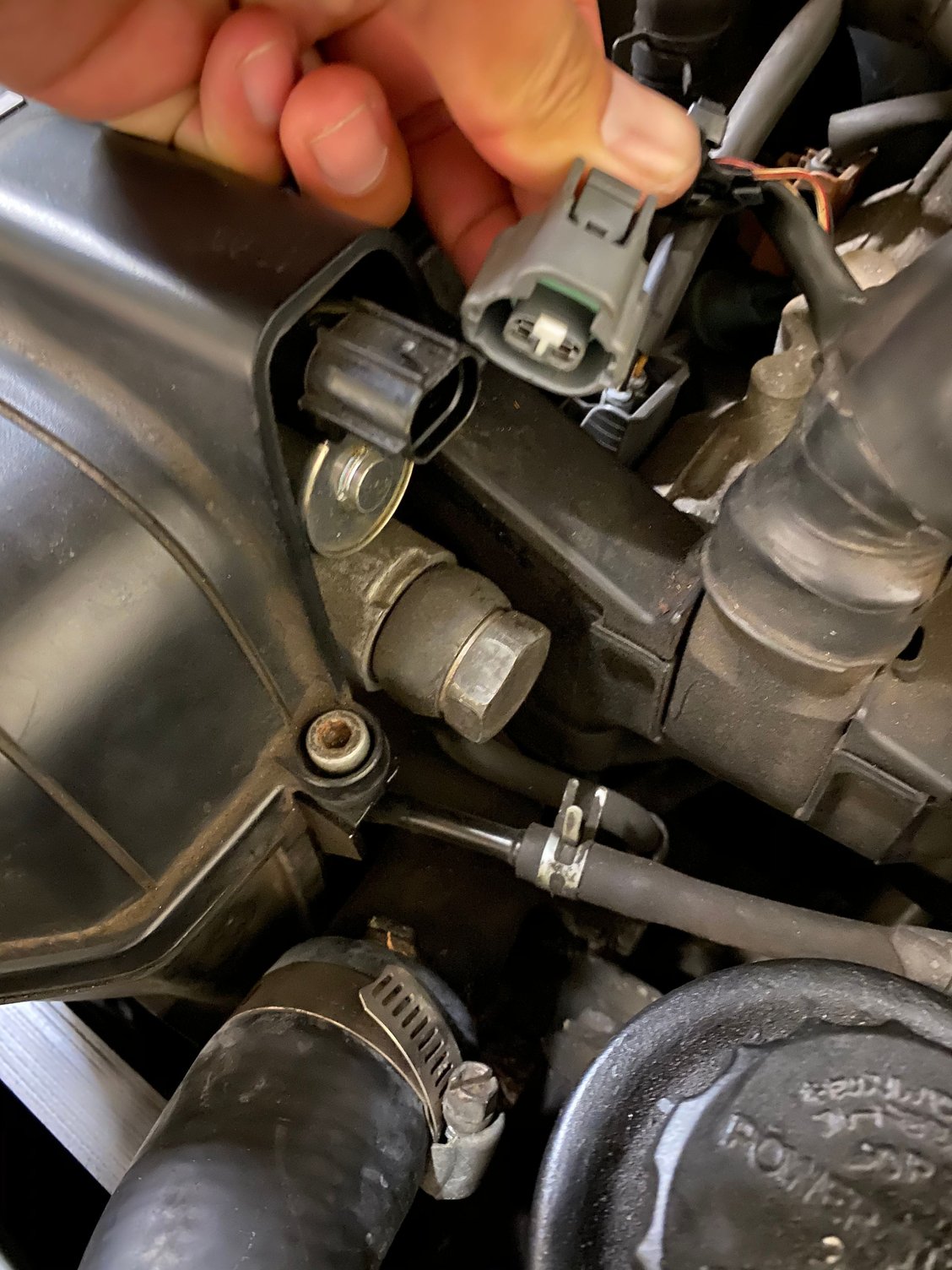 Oil control valve ClubLexus Lexus Forum Discussion