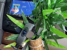 A wireless charging smartphone mount camouflaged with silk Bamboo leaves and... a piece of Bamboo.  Note that it's positioned to let the glove box open fully.