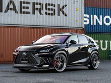 AIMGAIN Sport Lip Kit, Lexus NX 2018-21