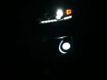 DRL strip is OEM with no mod.
As you can see the light projected by the LED bulbs (low beam and fog light) were pure white (not bluish/ricey) . The low beam is my "newer led bulb (about one year old)" where the fog is the "older led bulb (about three years old now)"  Had to do the change bc of a frontal impact accident about a year ago and the original led bulbs I had ordered some three years ago (the one in the fog) are no longer available.  So I bought newer led bulbs (sold in pairs).