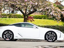 LC 500h with tree