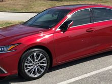 Waiting to visit the Gray's Fossil Museum in Gray, TN...car is looking clean.