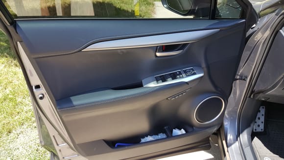 Chrome window panel on driver's side