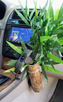 A wireless charging smartphone mount camouflaged with silk Bamboo leaves and... a piece of Bamboo.  Note that it's positioned to let the glove box open fully.