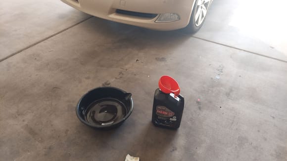 I changed the oil today.