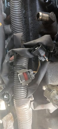 this is the passenger side where im having trouble figuring out where the 3 connectors go, the fuel injectors are all lugged in on  this side.