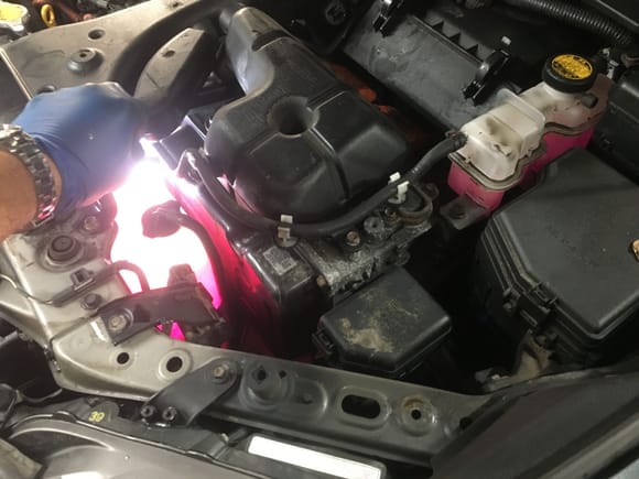 All the coolant is bright pink