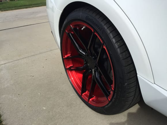 Usually not a fan of any color wheels but like the look of these on the white.  Nice job.
