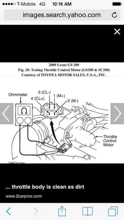 TPS and Throttle control motor yes auto zone....there is a difference I'm a girl not an idiot