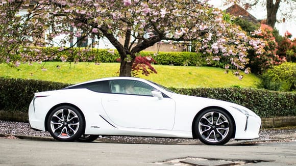 LC 500h with tree