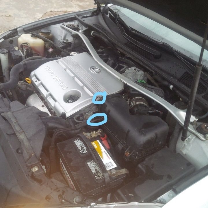 What are all of the small tubes used for? ClubLexus Lexus Forum