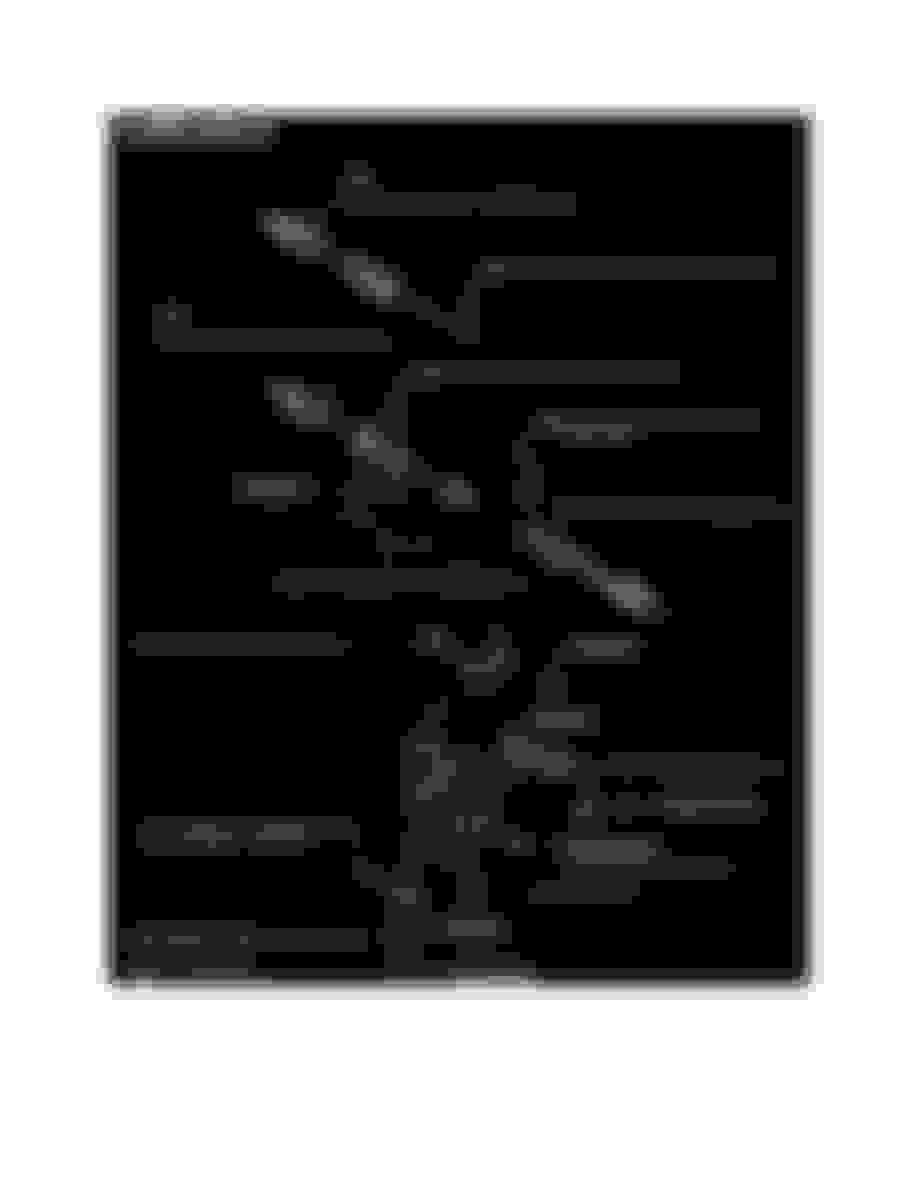 Front Wheel Bearing Torque Spec