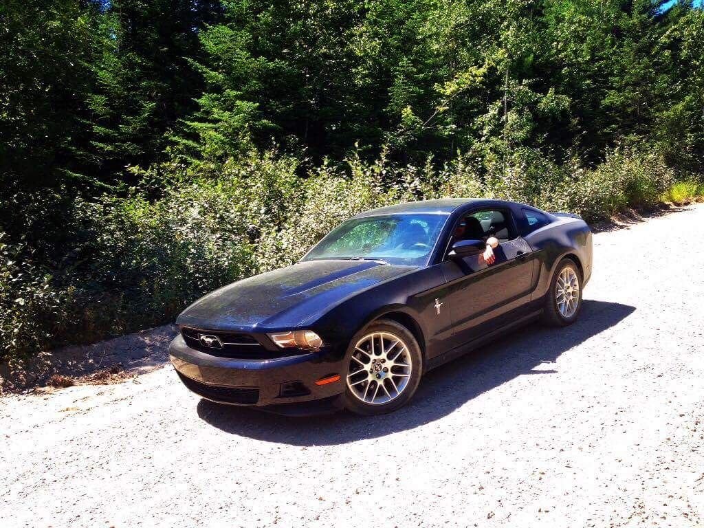 Hello ford mustang