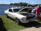 1967 Mustang Fastback "EUPHORIA"