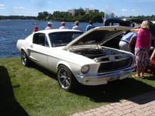 1967 Mustang Fastback &quot;EUPHORIA&quot;